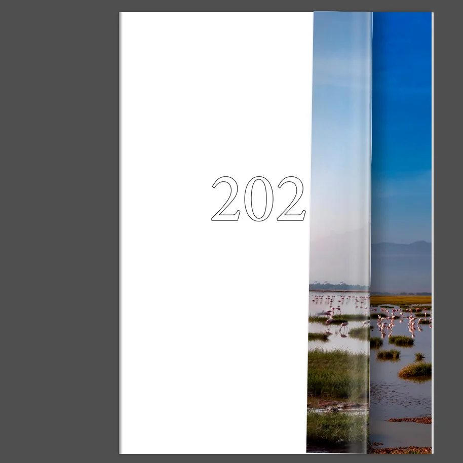 Framed wildlife photographs from Africa hanging on a clean gallery wall