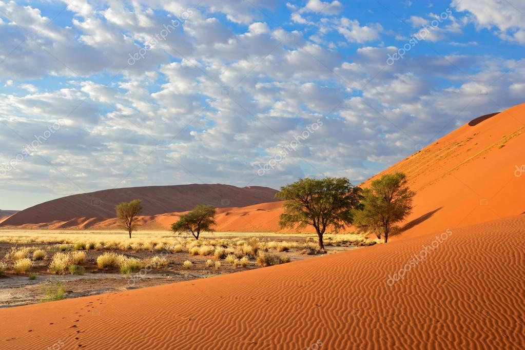 Sweeping sand dune in warm light with sharp shadow line