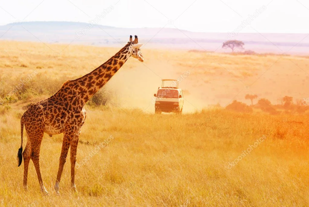 Safari vehicle on a dirt road under a wide African sky