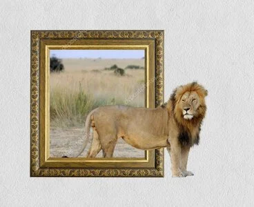 Collage of African wildlife photographs