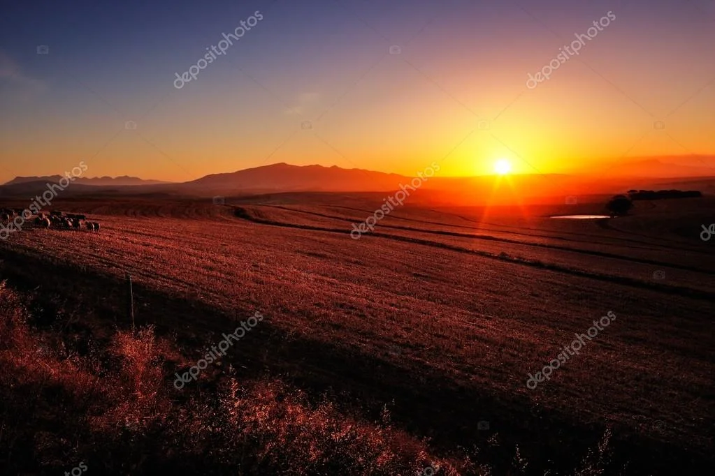 African landscape at sunrise with soft pastel colors
