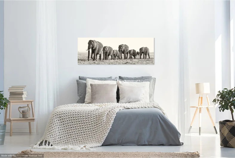 Framed African wildlife photographs displayed as fine art prints