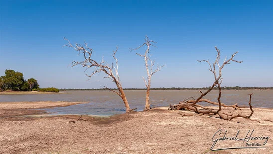 Sandy riverbank with bare trees beside the Rufiji River in Nyerere National Park, Tanzania.