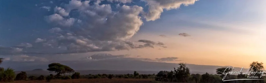 Panoramic sunset landscape in Amboseli National Park with acacia trees, clouds and warm evening light
